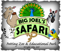 Item ET 4 - $150 Gift Card to Big Joel's Safari, Wright City, MO