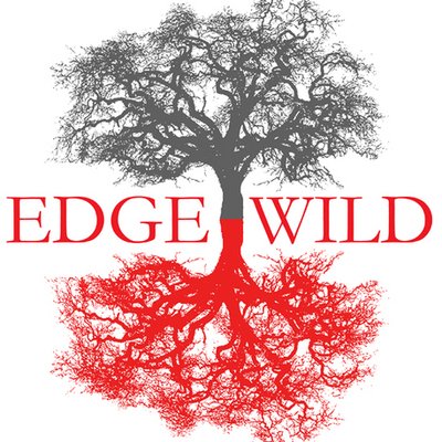 Item FA56 - $100 Gift Card for Edgewild in Chesterfield